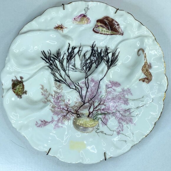 Other - 19th century Haviland & Co Limoges Oyster plate with Turkey Pattern H & Co A333